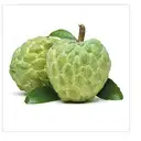 Custrad Apple – image 2
