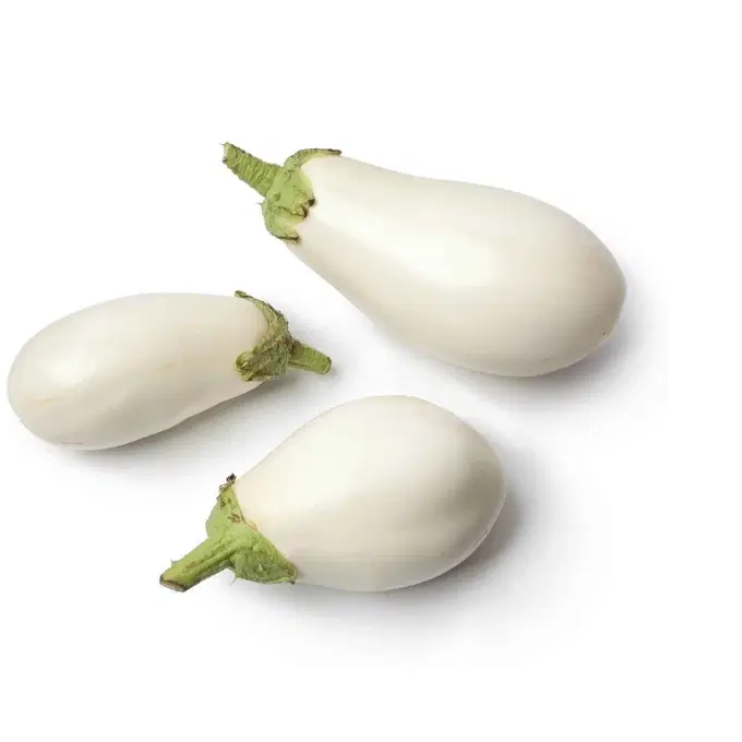 White Brinjal