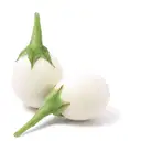 White Brinjal – image 2