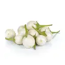 White Brinjal – image 3