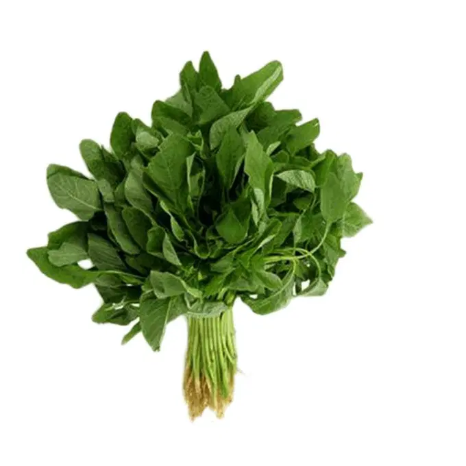 Green Amaranth ( pacha cheera )