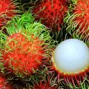 Rambutan – image 4