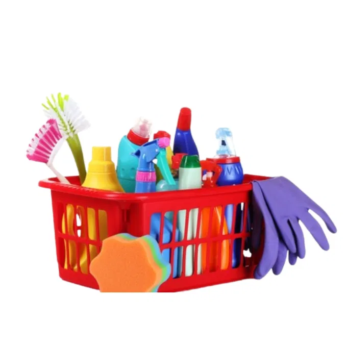 HOUSEHOLD  ESSENTIALS