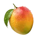 mango – image 1