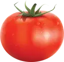 Tomatos ( Thakkaali / Tamatar ) – image 1