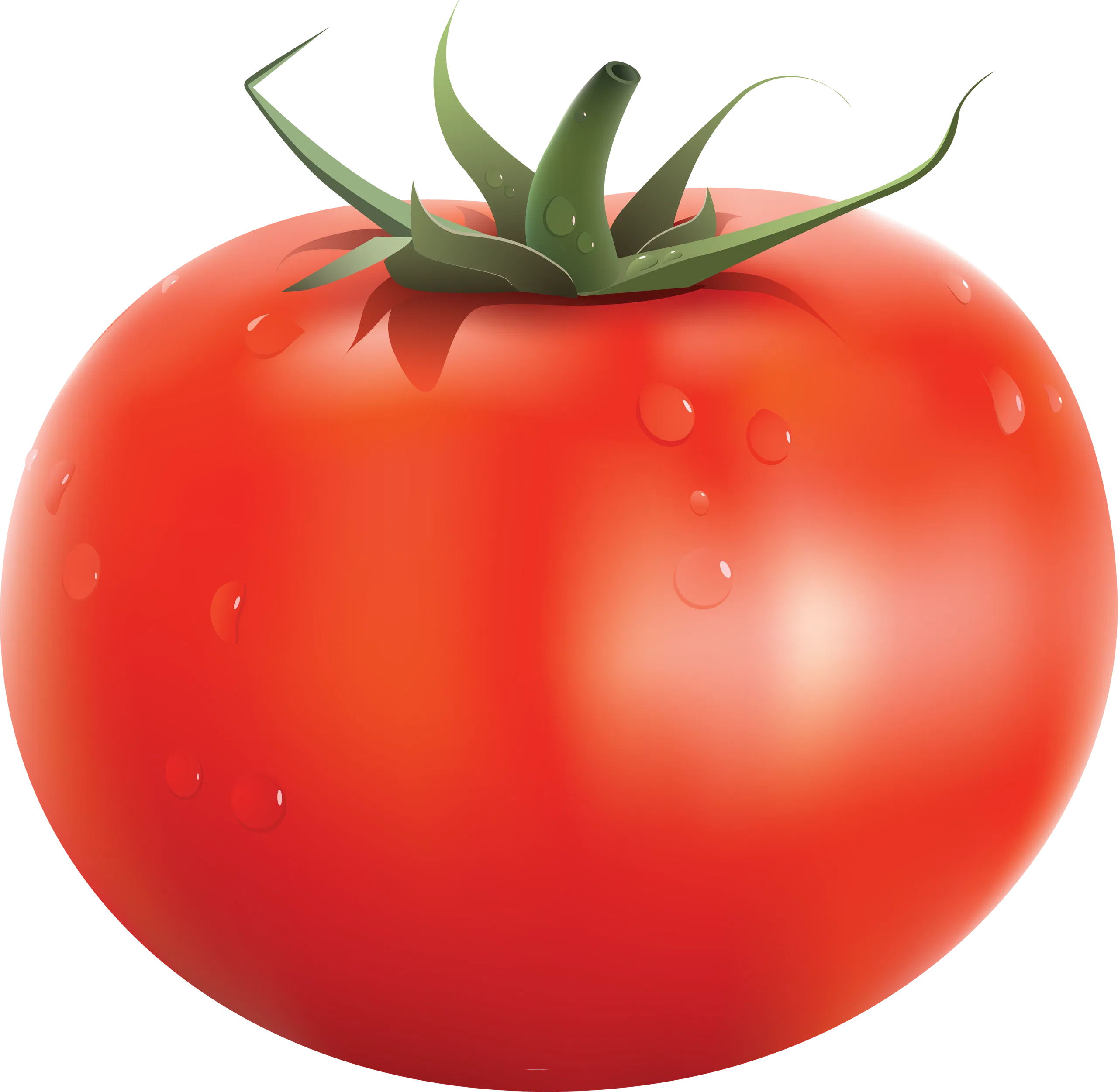 Tomatos ( Thakkaali / Tamatar )