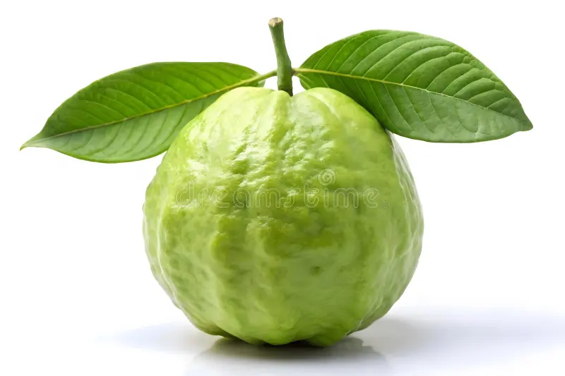 Guava