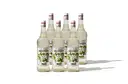 Monin Wild Mint Syrup – image 1