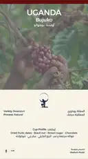 Uganda Bujuko Coffee – image 1