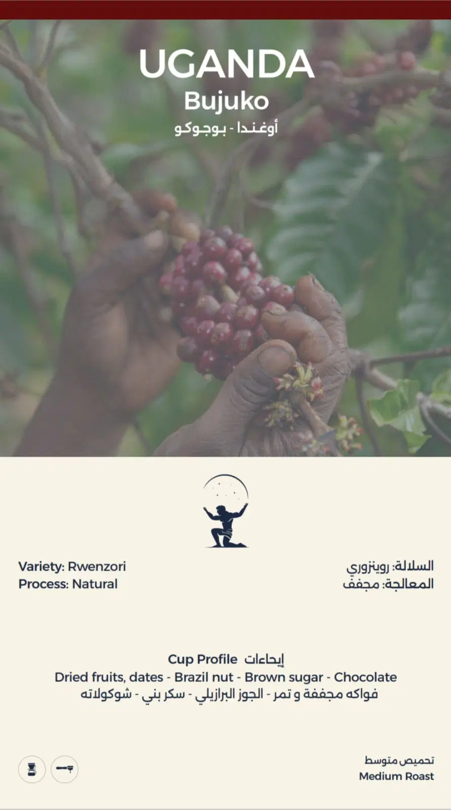 Uganda Bujuko Coffee