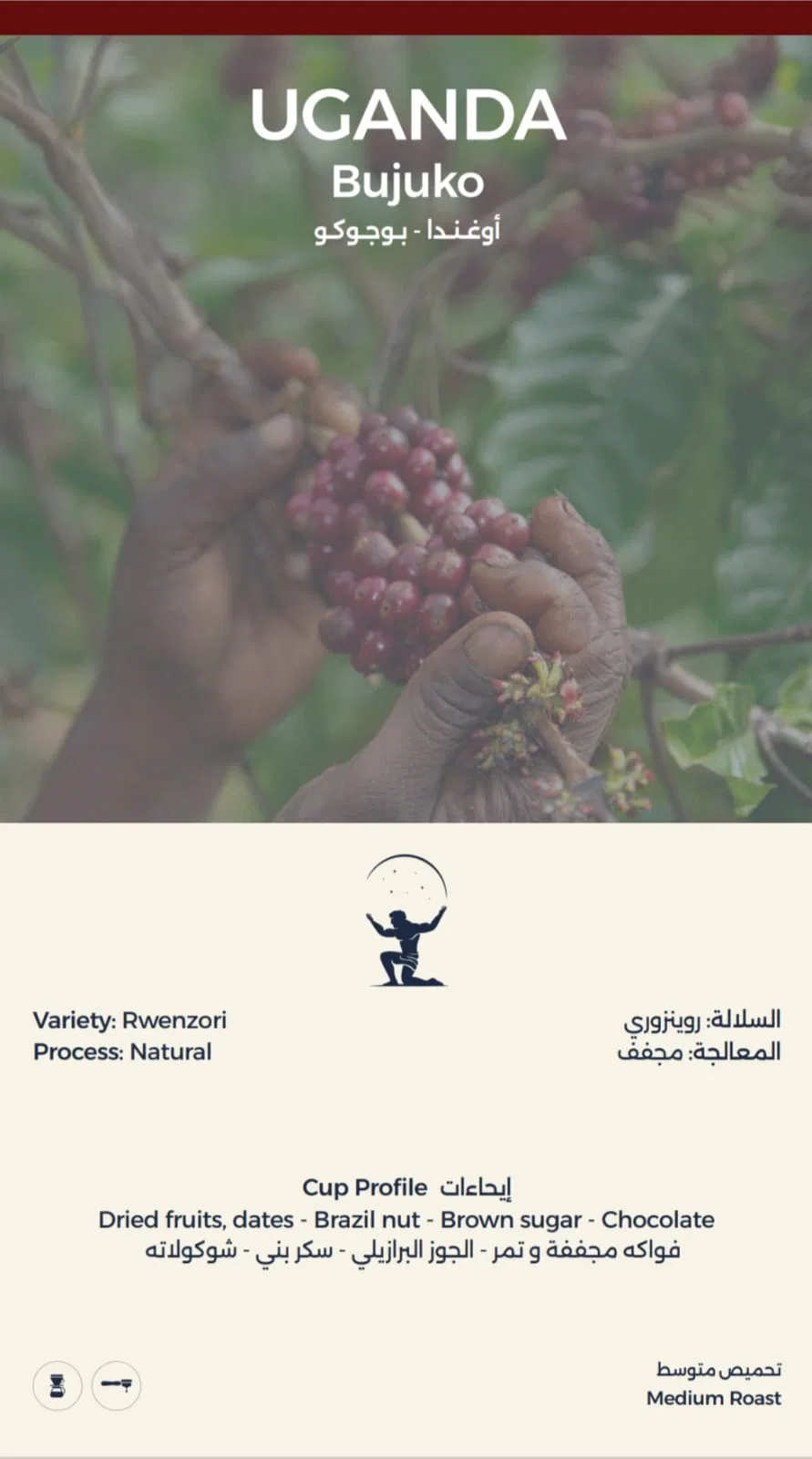 Uganda Bujuko Coffee