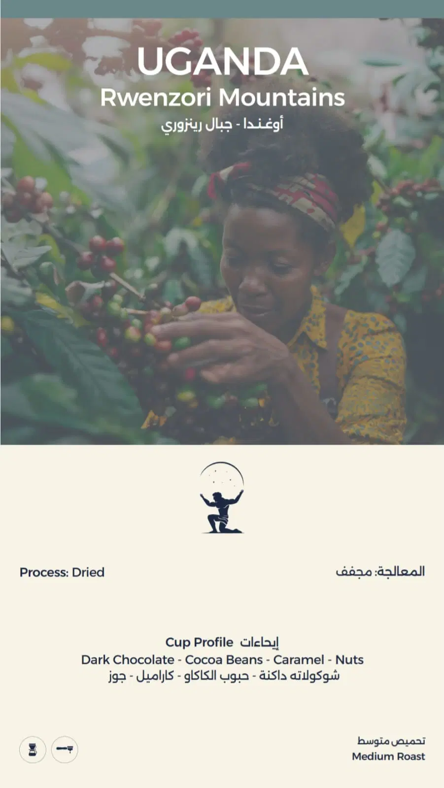 Uganda Rwenzori Mountains Coffee