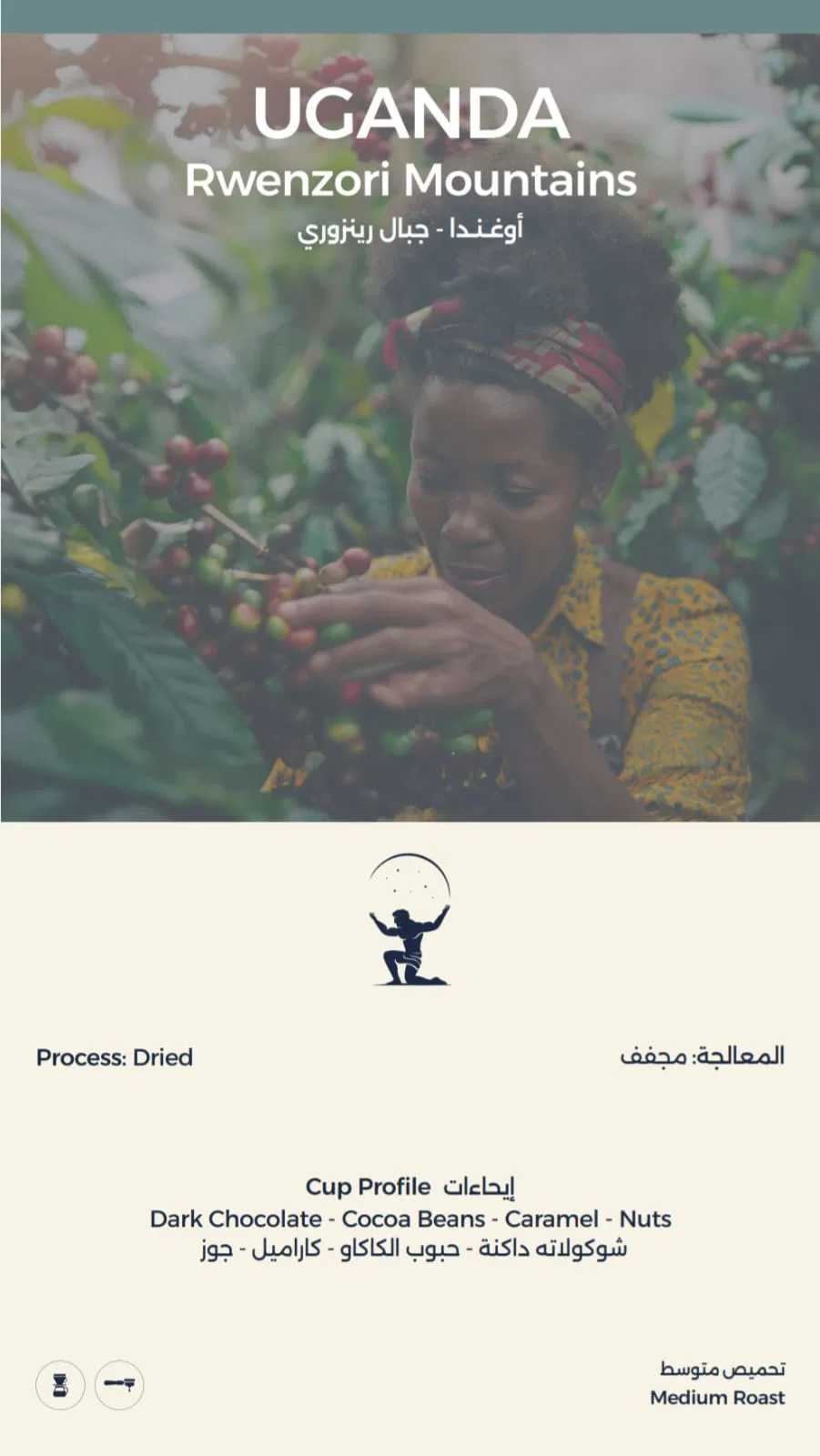 Uganda Rwenzori Mountains Coffee