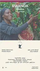 Rwanda Musasa Coffee – image 1