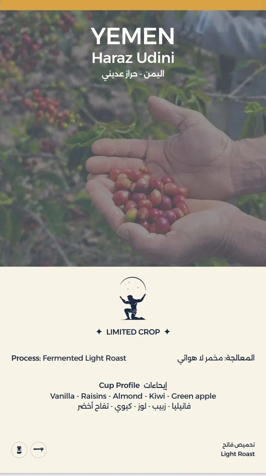 Yemen Haraz Udini Coffee