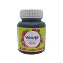 Fevicryl Acrylic Colours - 100 ml / fevicyl acrylic colors big bottles / metal | teracotta | wood | canvas  – image 1