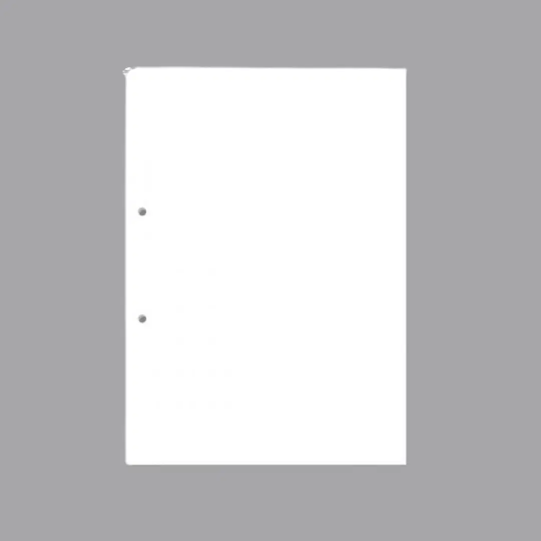 Punched drawing sheet pack / Plain sheets for file (20 sheets) /  file pages / Plain A4 sheets / Plain A4 Papers