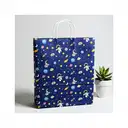 Paper / Gift Bag (Carry bag) - 12"x10" (small) – image 1