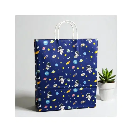 Paper / Gift Bag (Carry bag) - 12"x10" (small)