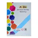 Lotus A3 Sheets (140 Gsm) / A3 paper / A3sheets – image 1