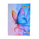 Anushree A4 Register / Notebook Both Side Ruled (Thick) - Hindi Register – image 2