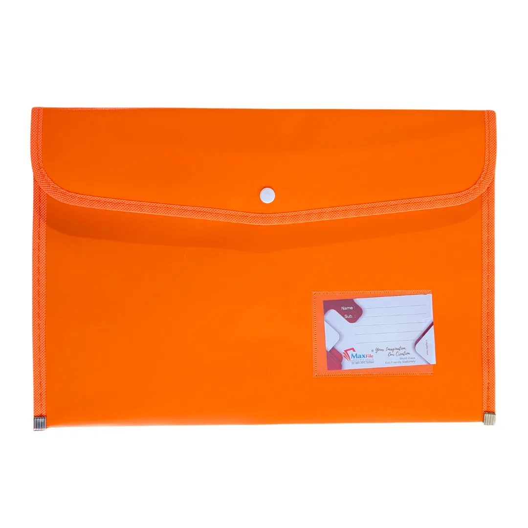 Folder File / Plastic Document Bag / Document holder / Plastic bag