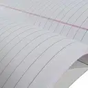Go Write A4 Register / Both Side Ruled / Thick Hindi Register – image 2