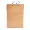 Paper / Gift Bag (Carry bag) - 12"x8" (small) – image 2