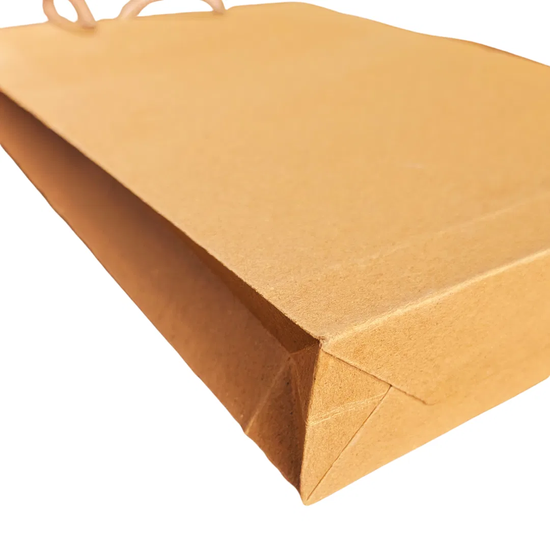 Paper / Gift Bag (Carry bag) - 12"x8" (small)
