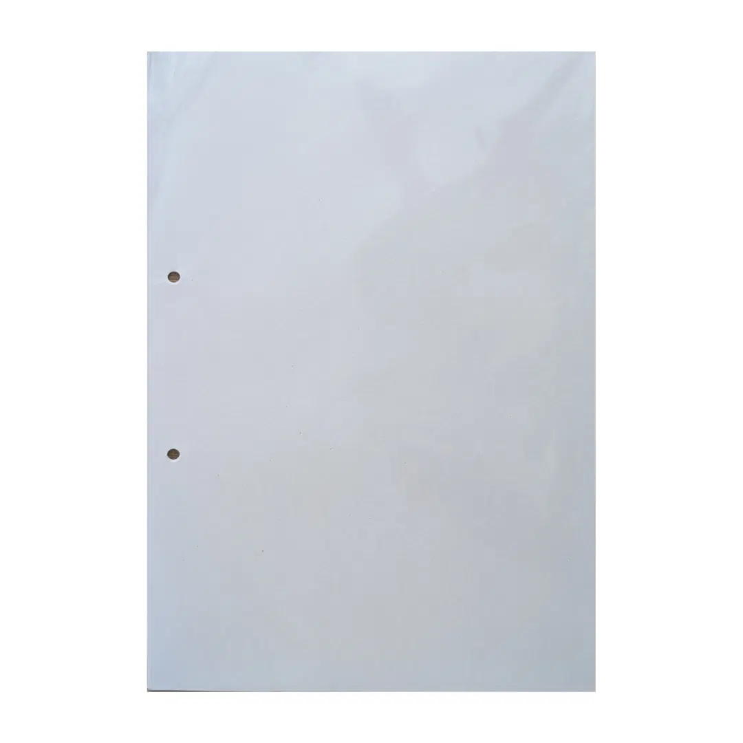 Plain A4 Sheets (10 sheets) - with Punch holes / A4 sheet for project / Plain A4 sheets