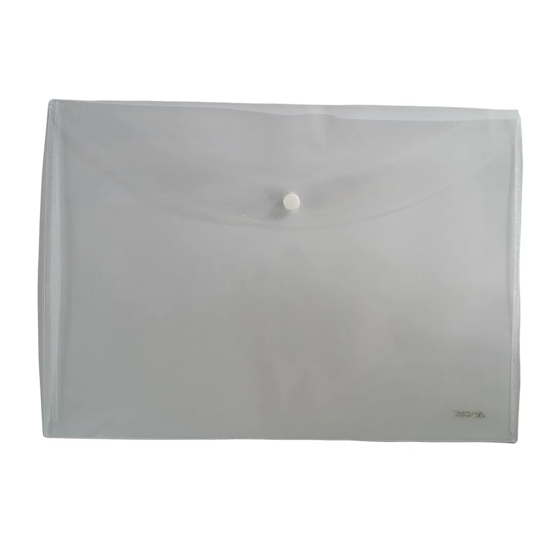 Alpine Transparent Bag for Documents (Horizontal)