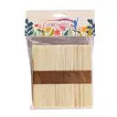 Ice Cream Sticks / Wood Ice Sticks  – image 1