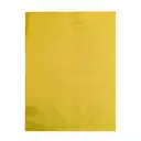 Yellow Envelop 16"x12" - 2 Envelopes – image 2