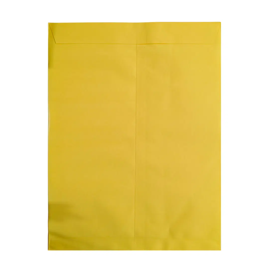 Yellow Envelop 16"x12" - 2 Envelopes