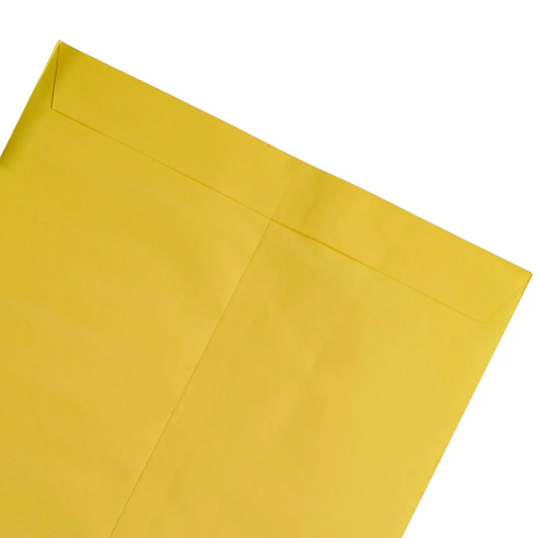 Yellow Envelop 16"x12" - 2 Envelopes