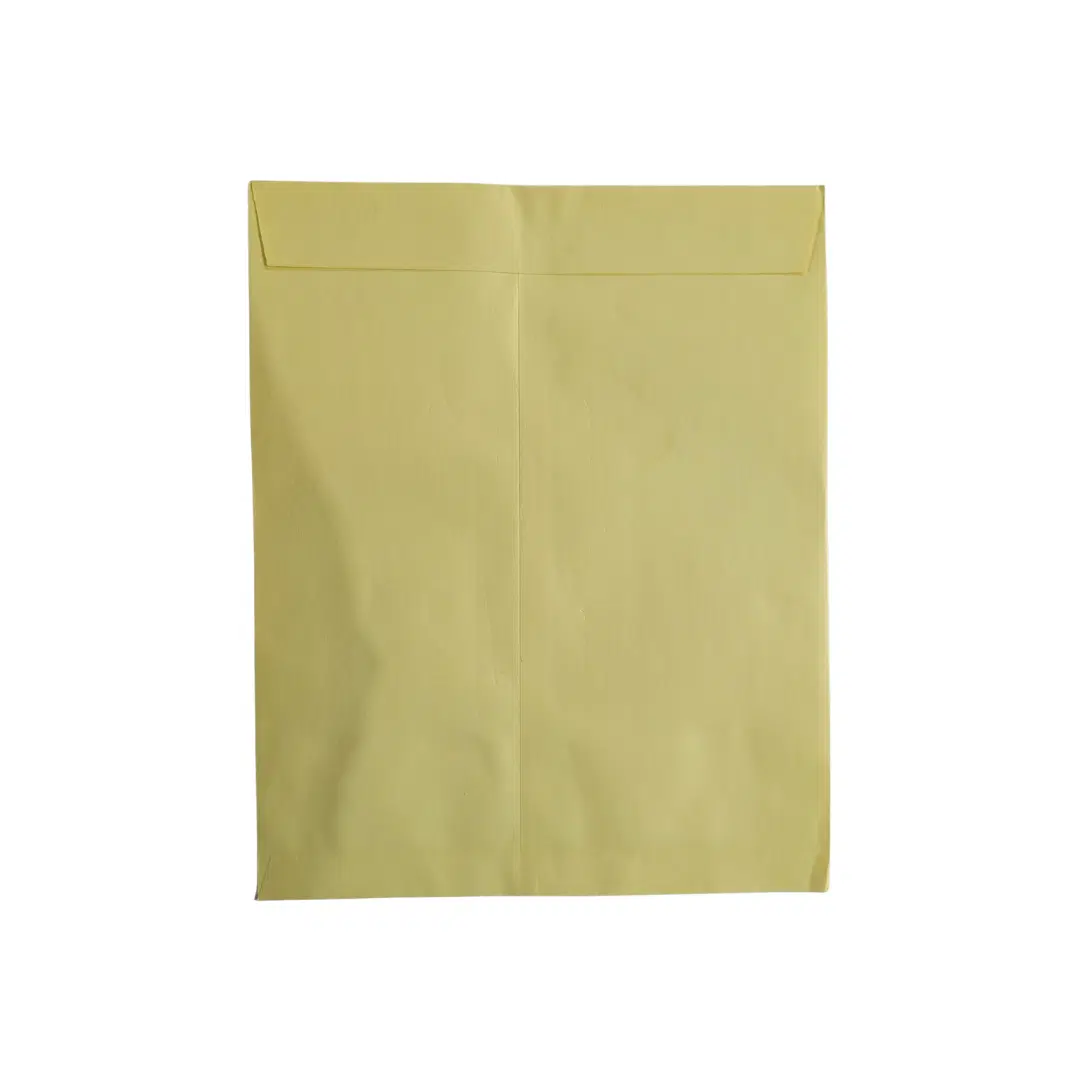 Yellow Envelop 12"x10" - 2 Envelopes