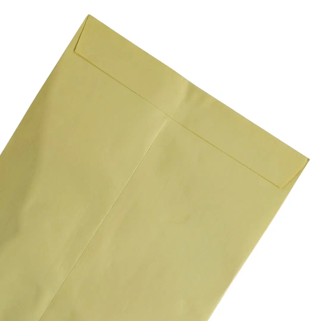 Yellow Envelop 12"x10" - 2 Envelopes