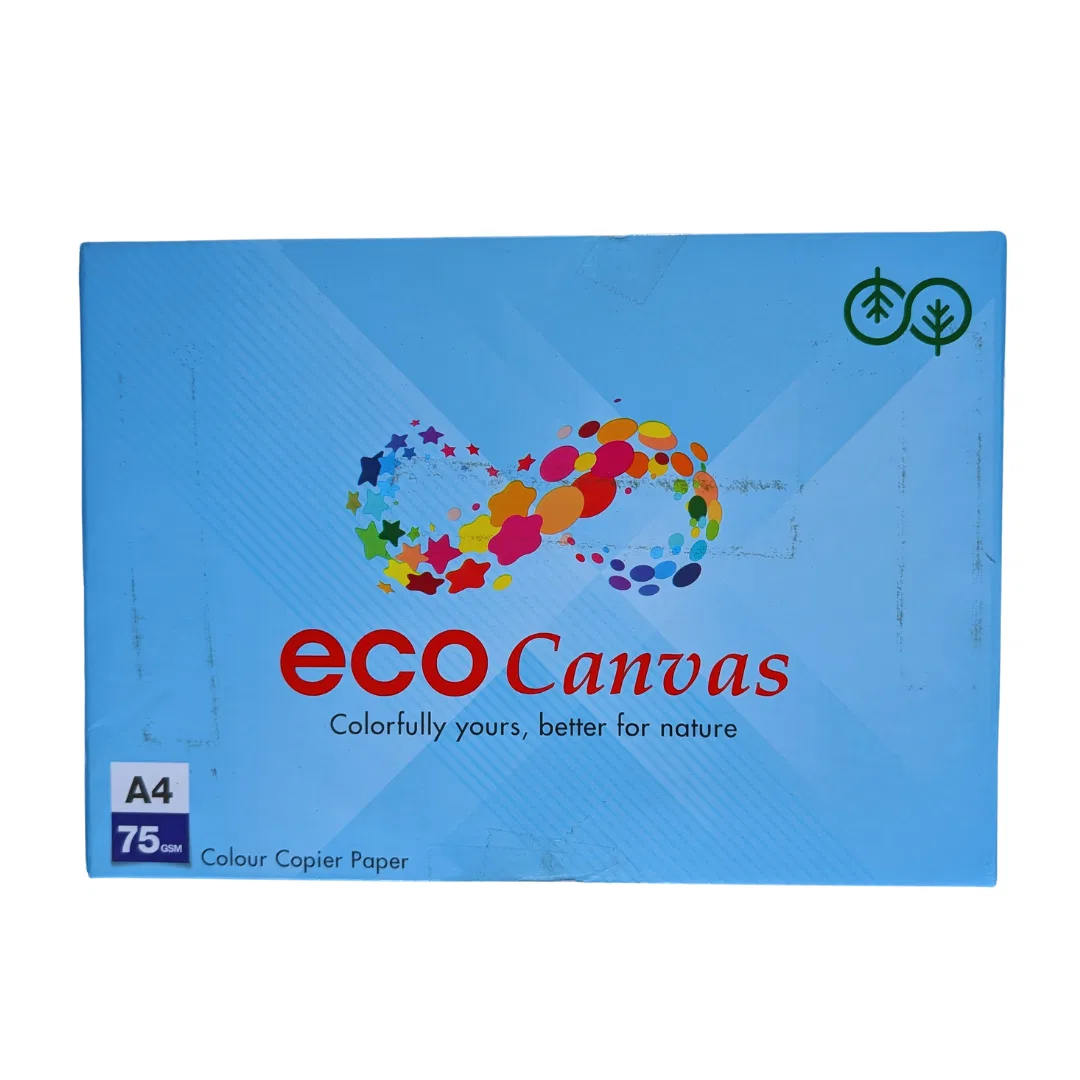 Eco Canvas Colour Copier Paper A4 size 75gsm (Blue)