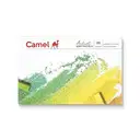 Camel soft pastel colors / Soft pastels (20 shades) – image 1
