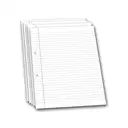 A4 sheets both side ruled / hindi a4 sheets for project / file pages ( 10 paper with punch hole )  – image 1
