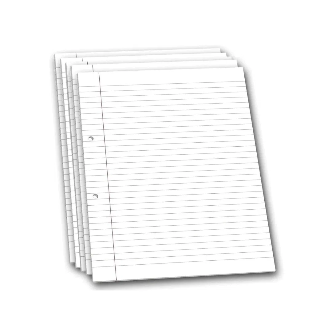 A4 sheets both side ruled / hindi a4 sheets for project / file pages ( 10 paper with punch hole ) 