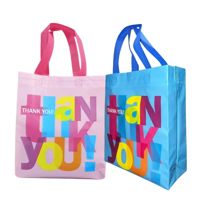 Gifting bag / carry bag / bag for gift ( 12 inch x 9 inch )