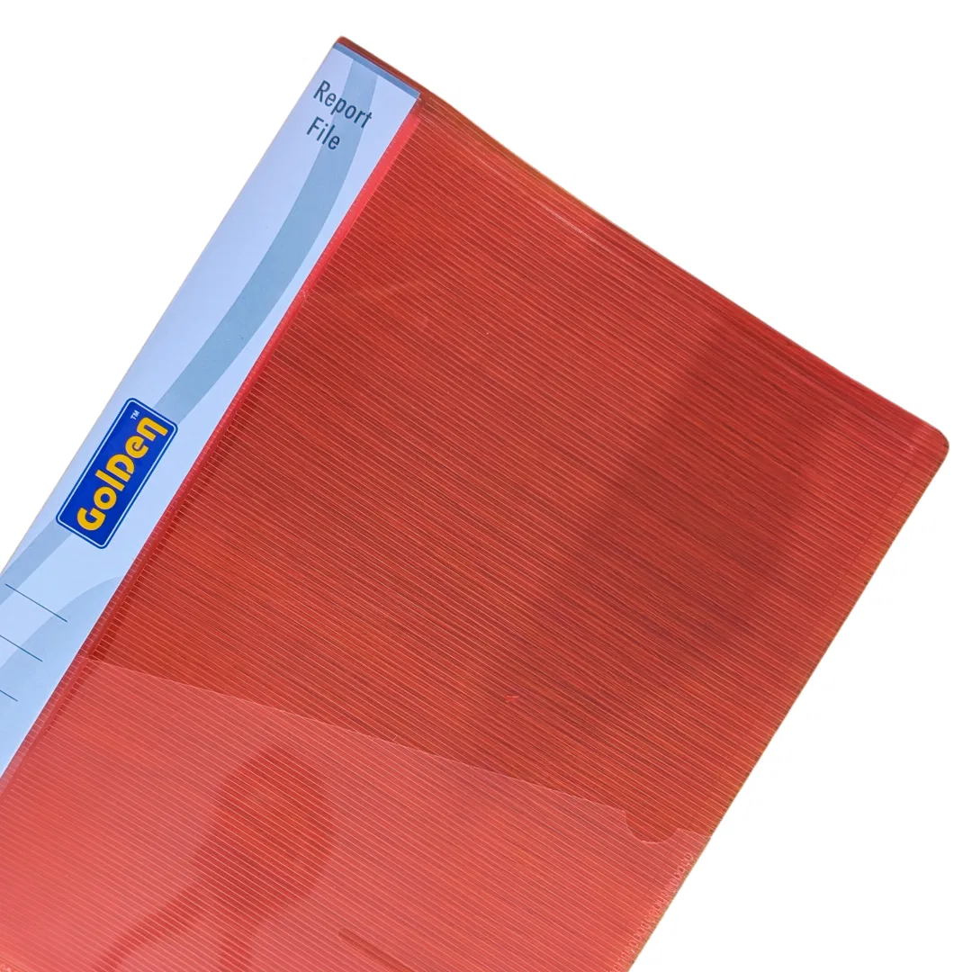 Golden Report File (Multicolour) / Transparent file / School file / Project files