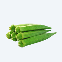Fresh Vegetables