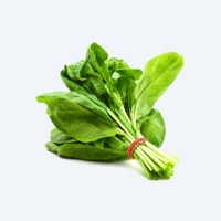 Leafy ,Herbs & Seasonings
