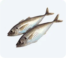 Fish & Sea Food