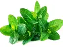 Mint Leaves 1 Bunch (Approx 80 g - 130 g) – image 1