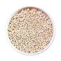 BARLEY