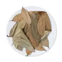 BIRIYANI LEAF