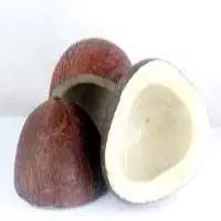 BLACK COPRA